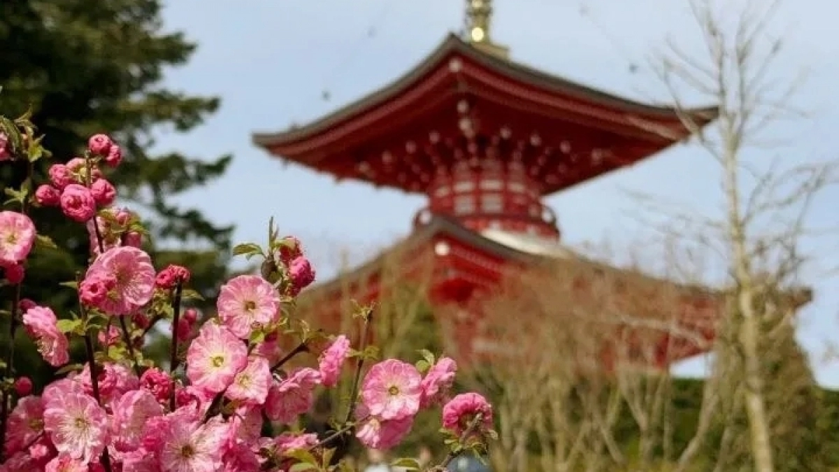 «Очередь, как в Мавзолей!»: посетители готовы ждать часами, чтобы попасть в Японский сад в Краснодаре 