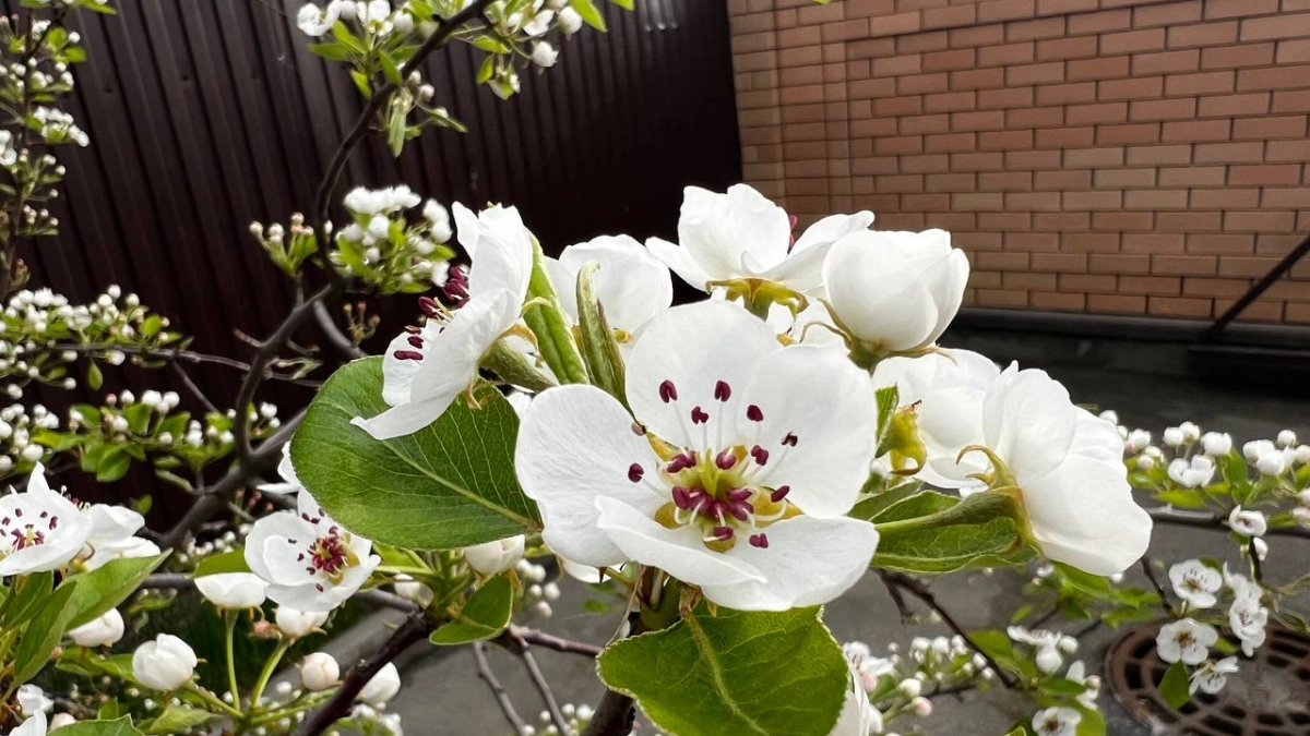 Апрель с перепадами: Роман Вильфанд предупредил о погодных сюрпризах