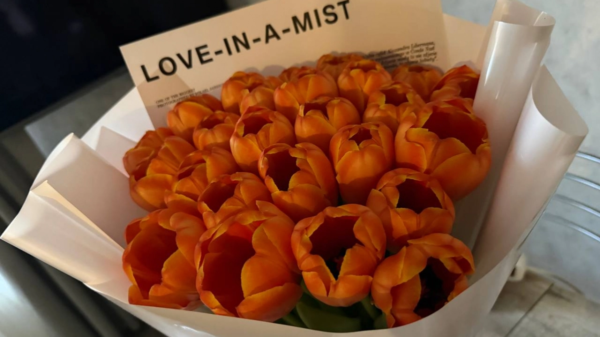 Тюльпаны взорвутся цветом в мае: апрельская подкормка — ложка на ведро и никакой химии