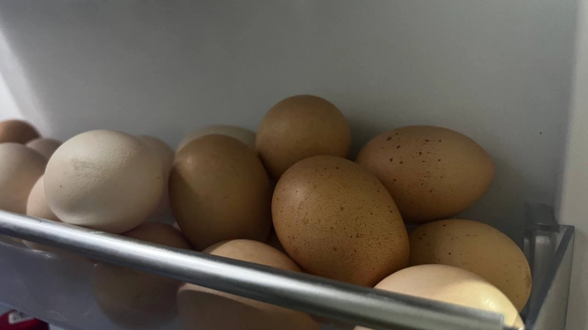 Пасхальный чек-лист: на что смотреть при выборе яиц и творога, чтобы не испортить праздник