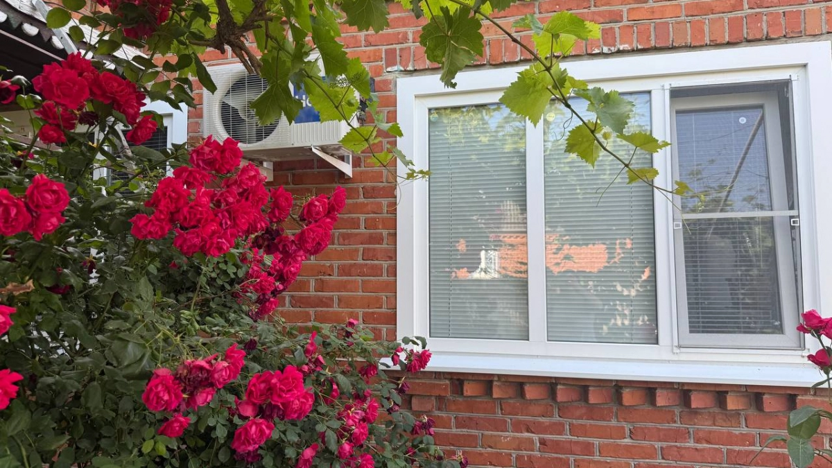 Хватит натирать окна до скрипа: 5 лайфхаков из кухонного шкафа, которые убивают разводы