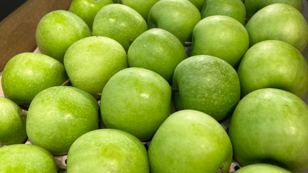 Киньте горсть под корень — и вредитель облетит вашу яблоню стороной