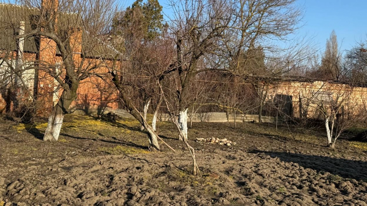 Лопату в сторону: 3 апрельских дела с почвой, которые заменят перекопку и дорогую химию