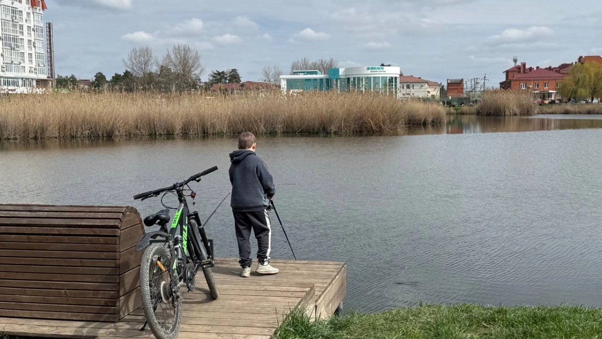 Без клёва не уйдёте: аптечные капли разбудят рыбу там, где молчат даже эхолоты