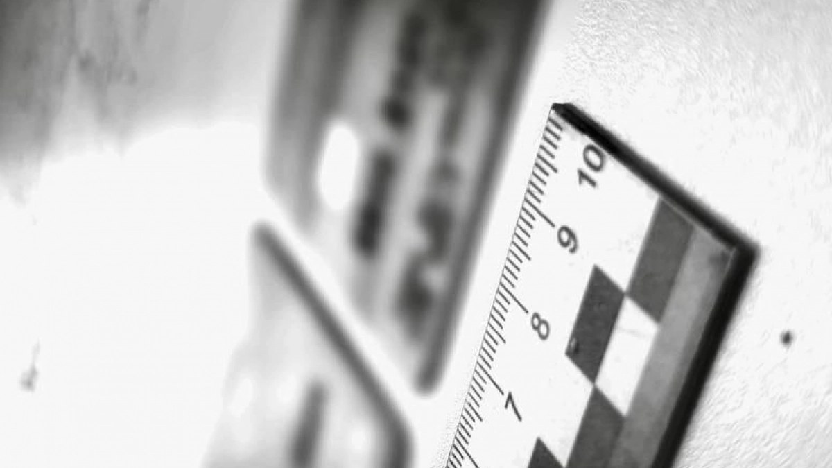 «Рендж Ровер» по дешёвке обернулся уголовным делом: новороссийские следователи раскрыли схему мошенника