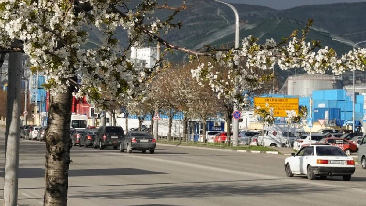 Весна уже не за горами! На Черноморском побережье с 17 апреля ожидается вынос тепла  