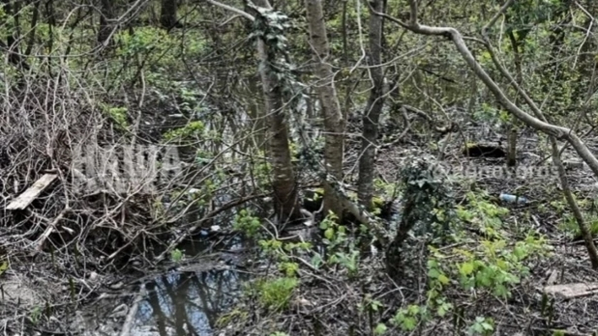 Виноваты обильные осадки: в Новороссийске канализация топит Цемесскую рощу, дворы и попадает в реку