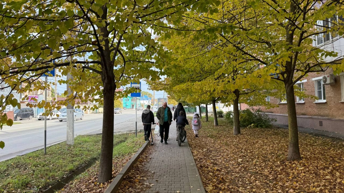 Замените «нормально» на одну из этих фраз — и деньги потекут рекой: 5 ответов, которые перепрограммируют мозг на богатство