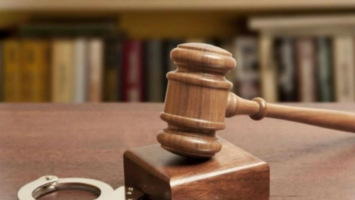 129 миллионов рублей заплатят две компании за незаконную свалку мусора в поселке Алексино под Новороссийском