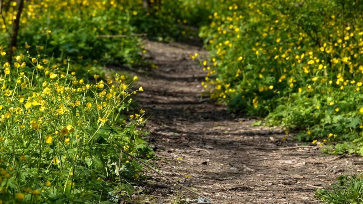 Горячий чай и настольные игры: горожане приглашают на бесплатную лекцию «Новороссийск крупным планом: природа, которую мы не замечаем»