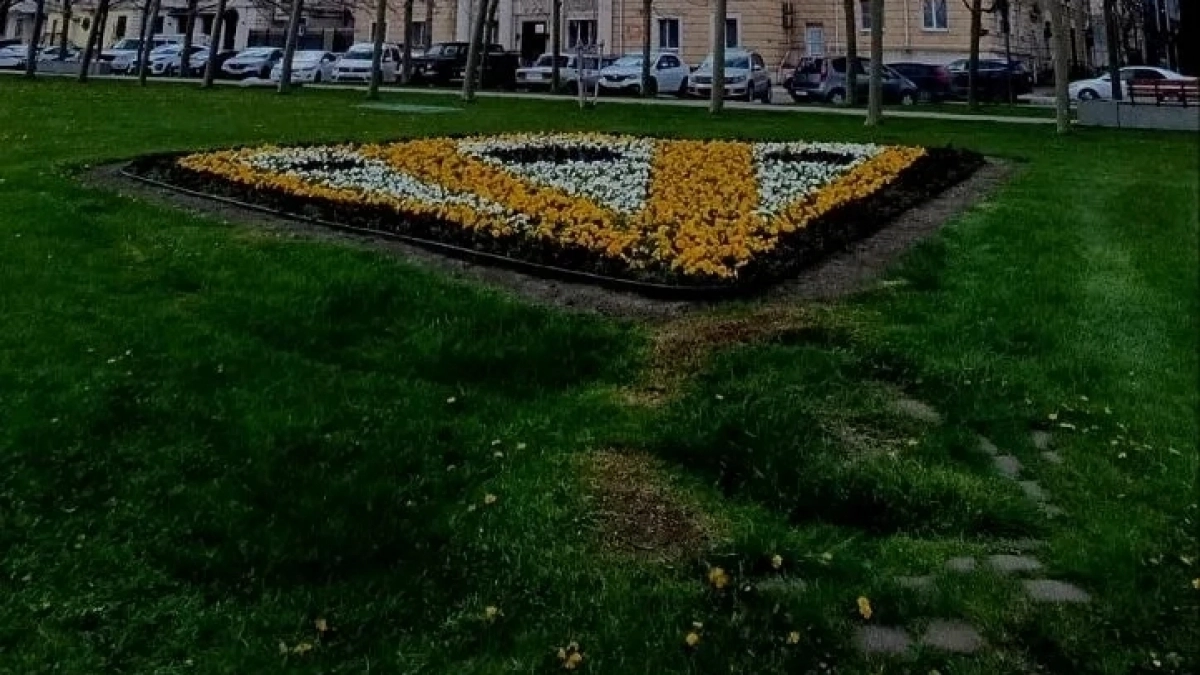 Прощай, птичка! С набережной Новороссийска убрали павлина 