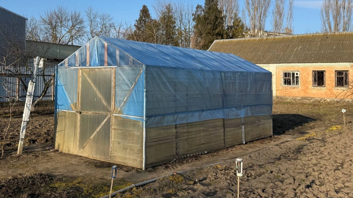 Перчу банановые шкурки и закапываю в грядки — тля и блошки бегут без химии