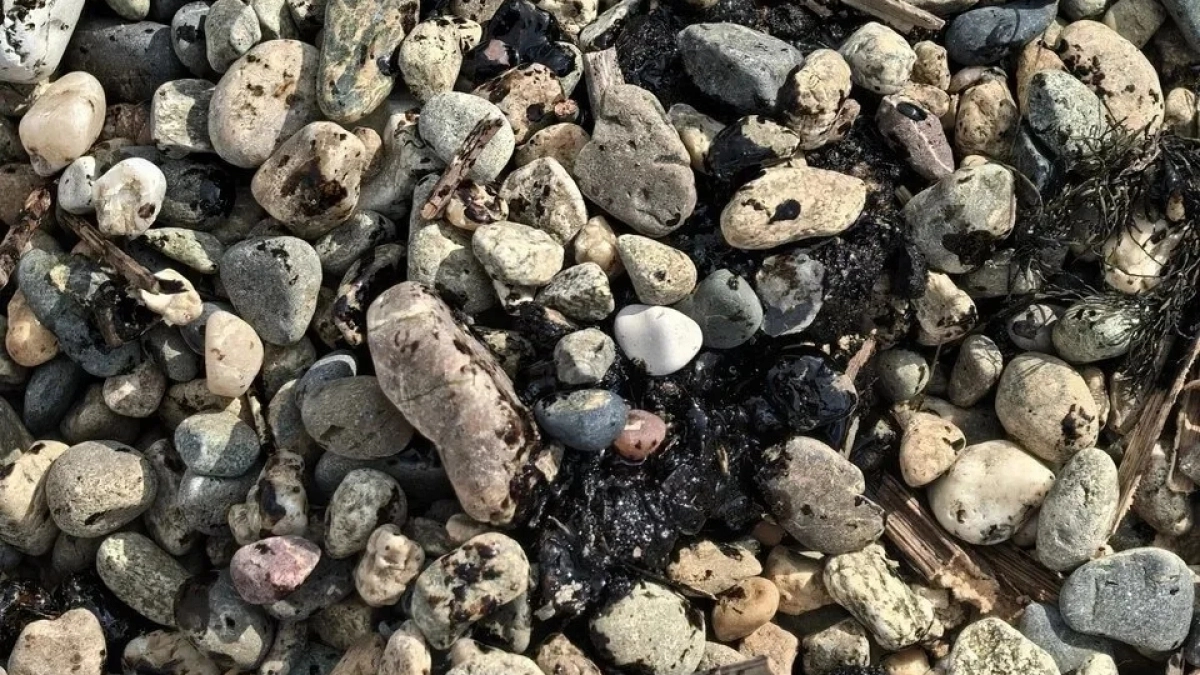 Черные метки: пляжи Новороссийска снова в мазуте