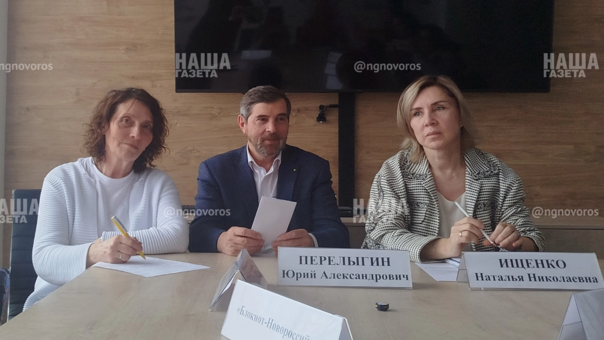 В Новороссийске запущен проект «Зеленый каркас» стоимостью 64 миллиона рублей: в чем его цель и когда ждать результатов 