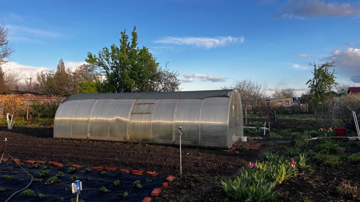 «Поставил и забыл на годы»: пленка и поликарбонат сдают позиции — новое покрытие для теплиц гарантировано не рвется и не мутнеет годами