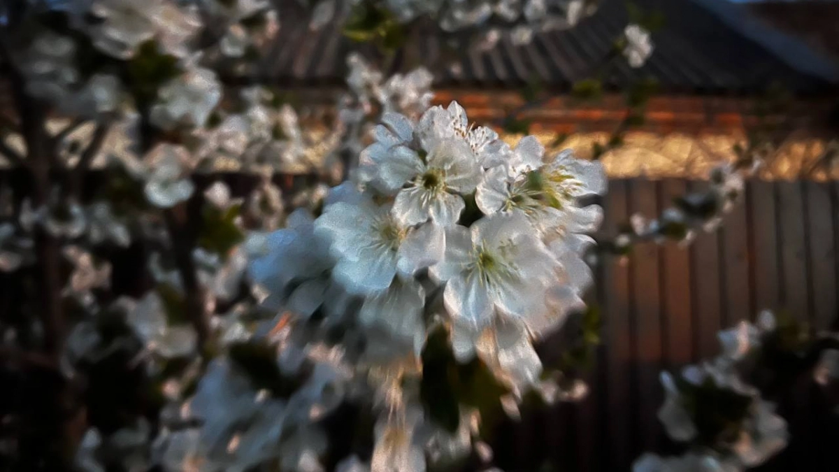 Майские каникулы сократили: как россияне будут отдыхать в 2026 году без длинных выходных