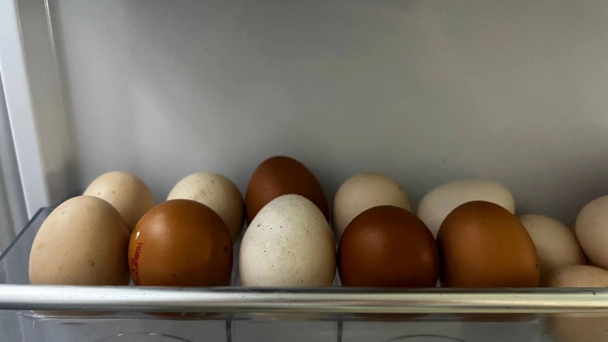 Вареные яйца превращаются в «резиновый мяч» уже на третий день: проверьте, не пора ли выбросить ваш завтрак