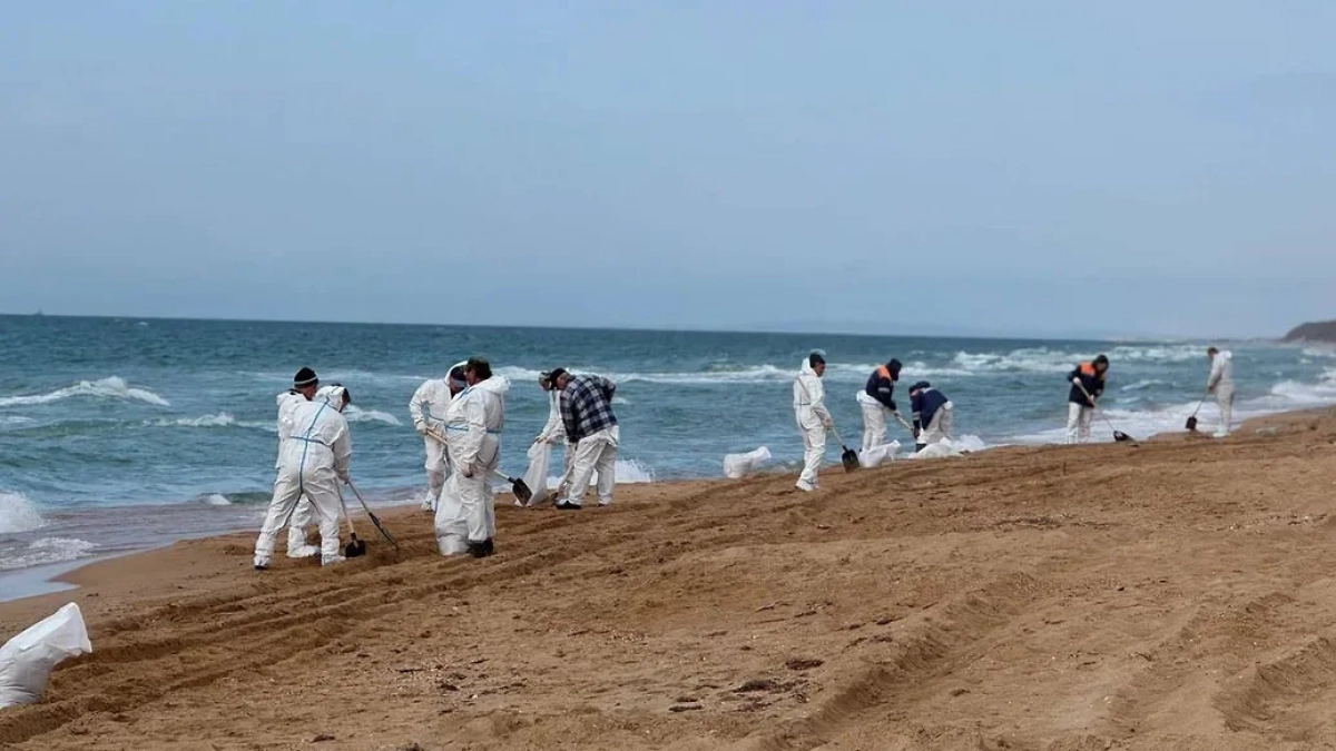 Собрали 28 тонн с поверхности и 247 тонн с берега: стали известны новые подробности о мазутных загрязнениях в Черном море