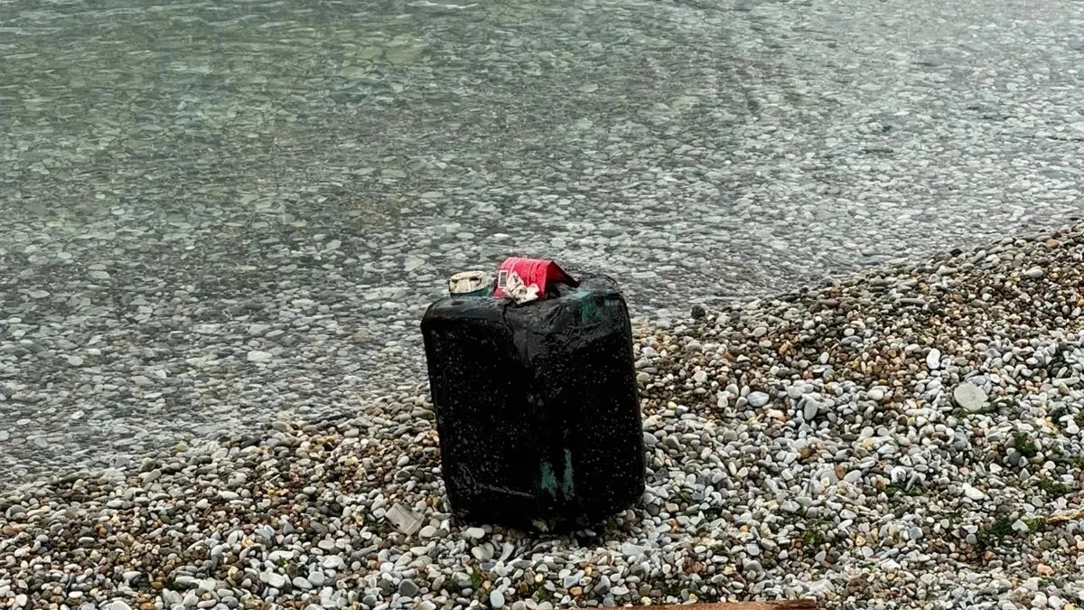 Проделки хулиганов: мазут на пляжах Новороссийска оказался машинным маслом 