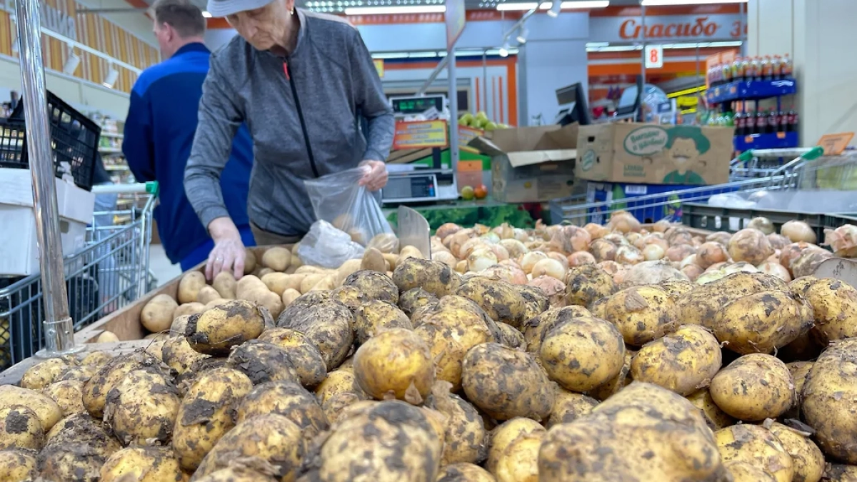 В Новороссийске цены на картофель рухнули на 14%