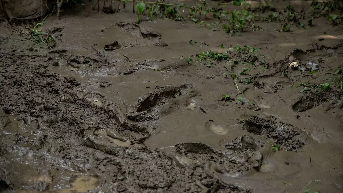 Вода выше нормы: в трёх районах Кубани реки держатся на повышенных отметках