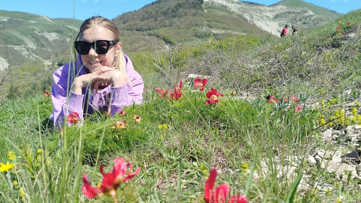 В горах Новороссийска зацвели дикие пионы: секретная локация в получасе ходьбы от города 