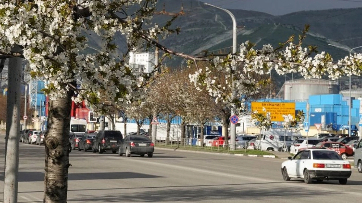 Арктическое вторжение: в Новороссийске на майские праздники похолодает, пойдут дожди и поднимется ветер  