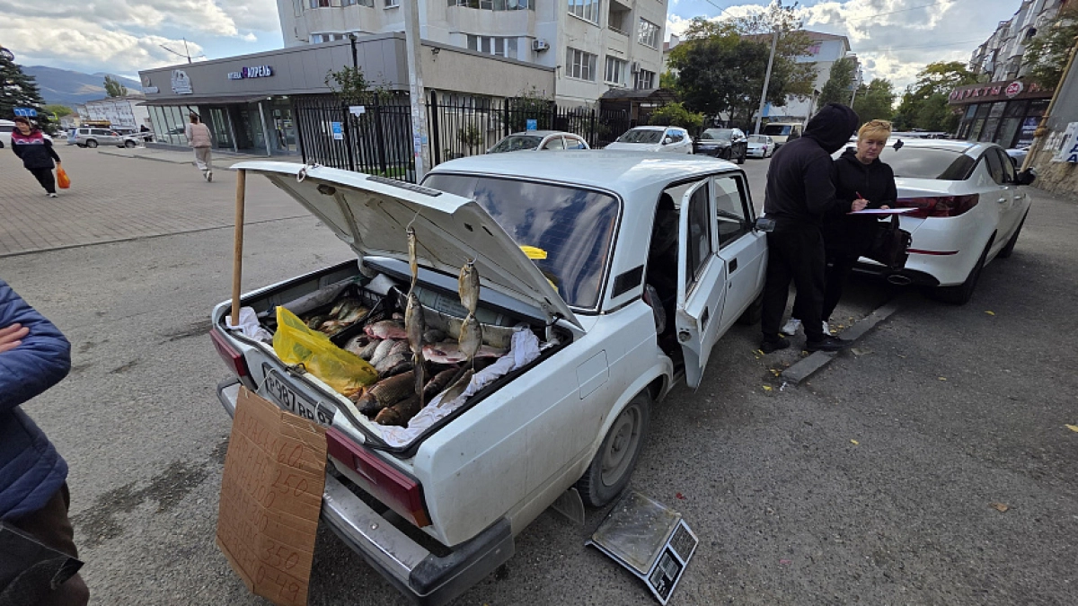 Постельное белье, цветы и рыба: в 2025 году в Новороссийске выписано 223 штрафа за стихийную торговлю 