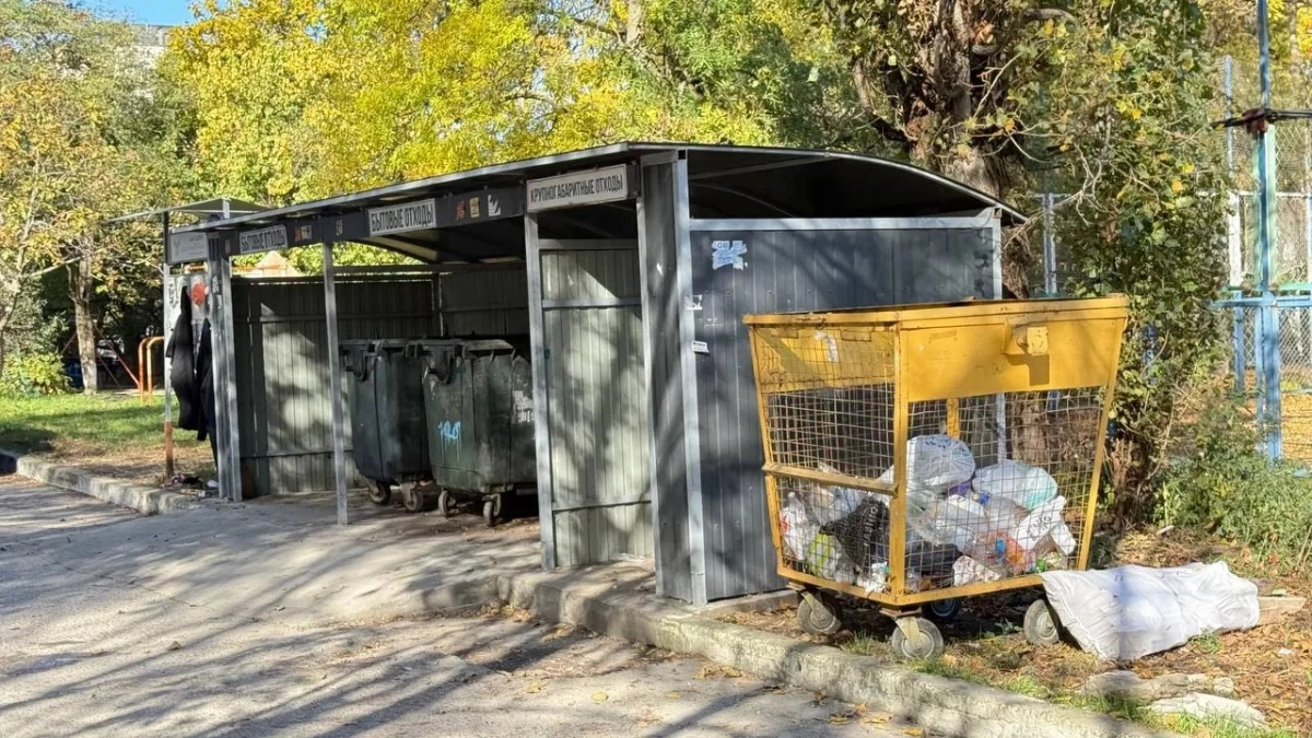 Штраф до 3000 рублей: что категорически нельзя бросать в мусорный бак во дворе