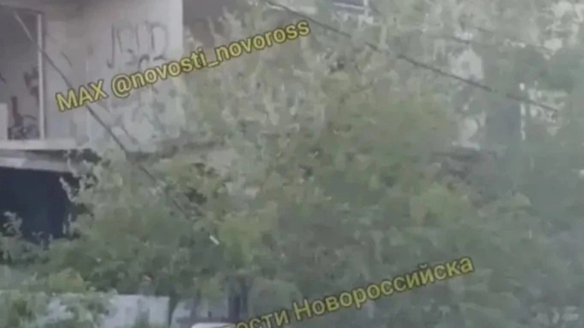 Примите меры! В Новороссийске школьники играют в заброшке  