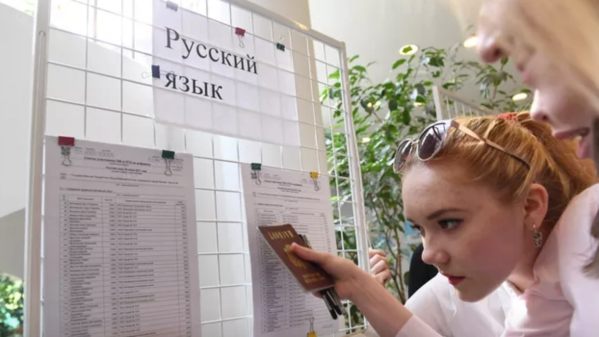 ГТО, медали и СВО: за какие достижения новороссийцы могут получить дополнительные баллы при поступлении в вуз
