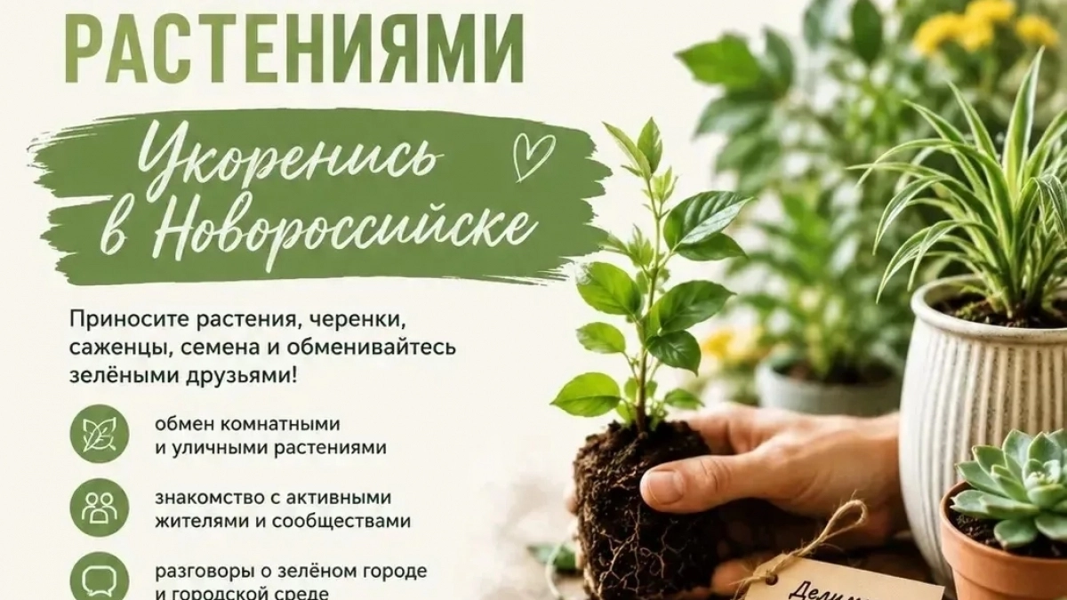 Пора укореняться! В Новороссийске пройдёт фестиваль обмена растениями