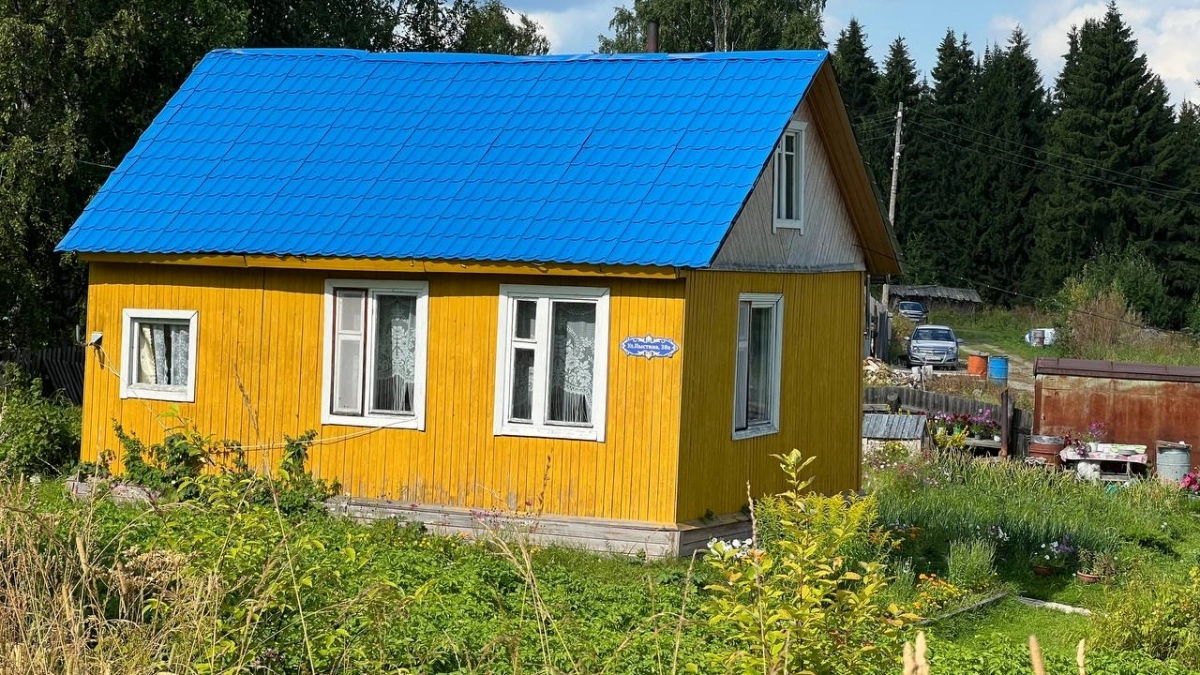 Революция на даче 2026: газон больше не стригу, туи не сажаю — красота без мороки