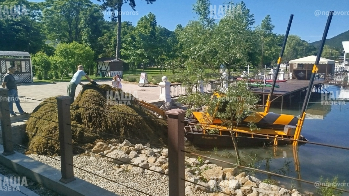 Техника чистит озеро Абрау под Новороссийском от избыточной растительности: полезно ли это для водоема?