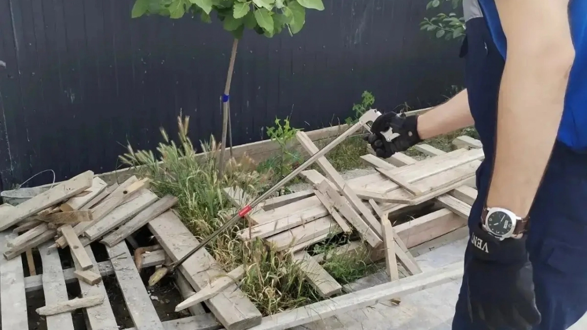  В Новороссийске во дворе частного дома поймали гигантскую, на совершенно безобидную змею 