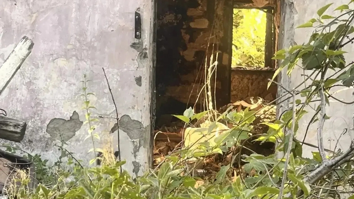  «Крысы размером с кошку»: жители улицы Рубина в Новороссийске бьют тревогу из-за антисанитарии, которую развели маргиналы в заброшке