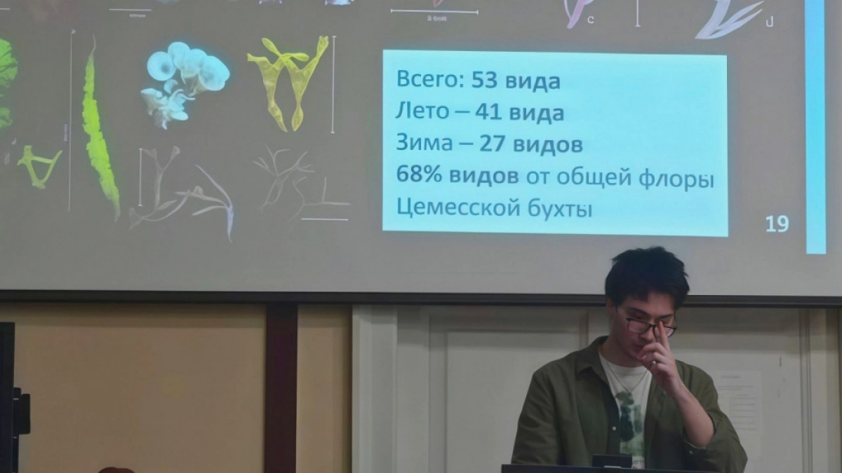 Воскрешение из тины: в Суджукской лагуне нашли водоросль, которую считали потерянной навсегда