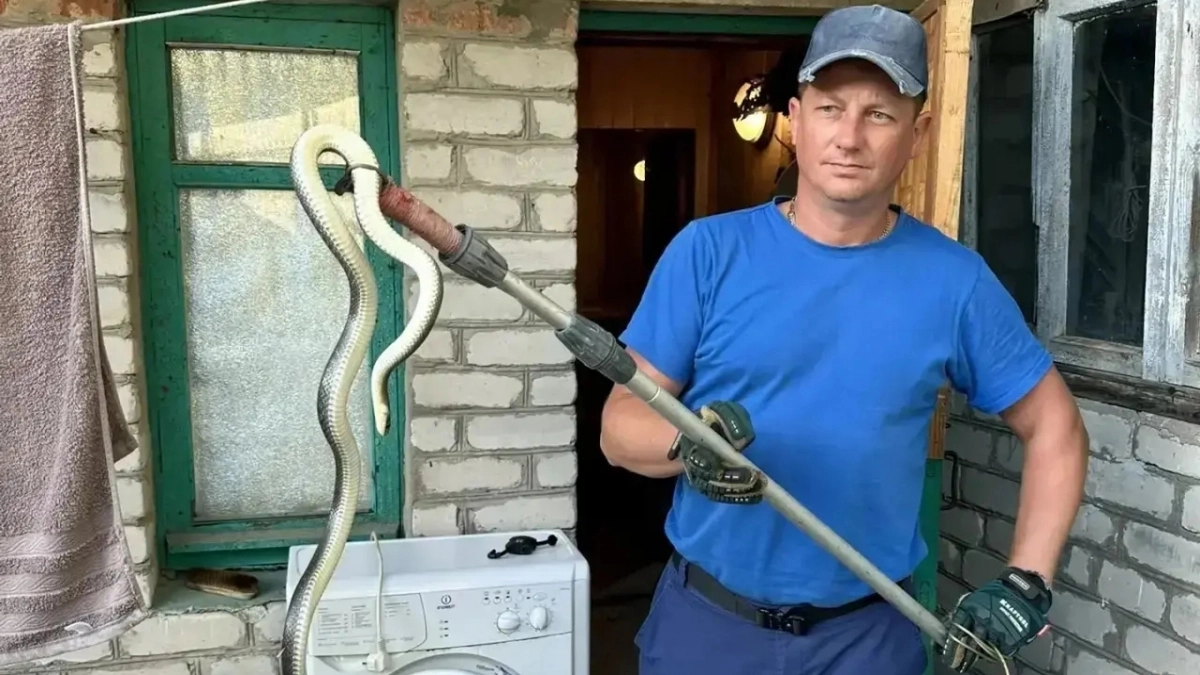 С легким паром! Спасатели поймали змею в бане на приусадебном участке в Новороссийске 