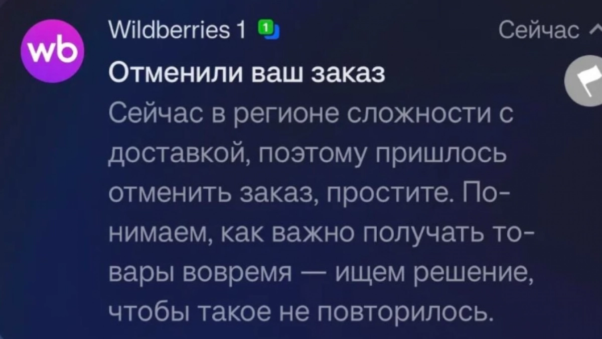 Wildberries начал отменять заказы: что случилось с доставкой