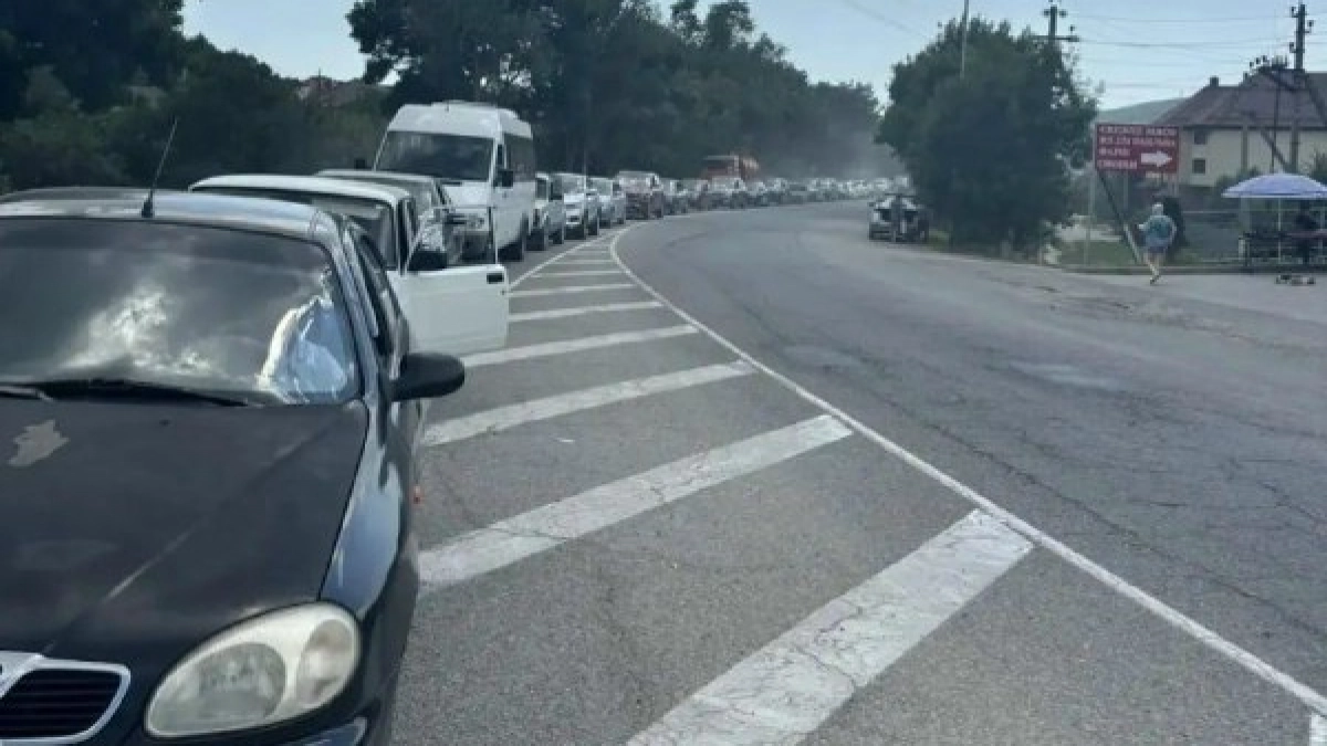 Жители села под Новороссийском бьют тревогу: водители устроили стихийную уборную в лесу у АЗС