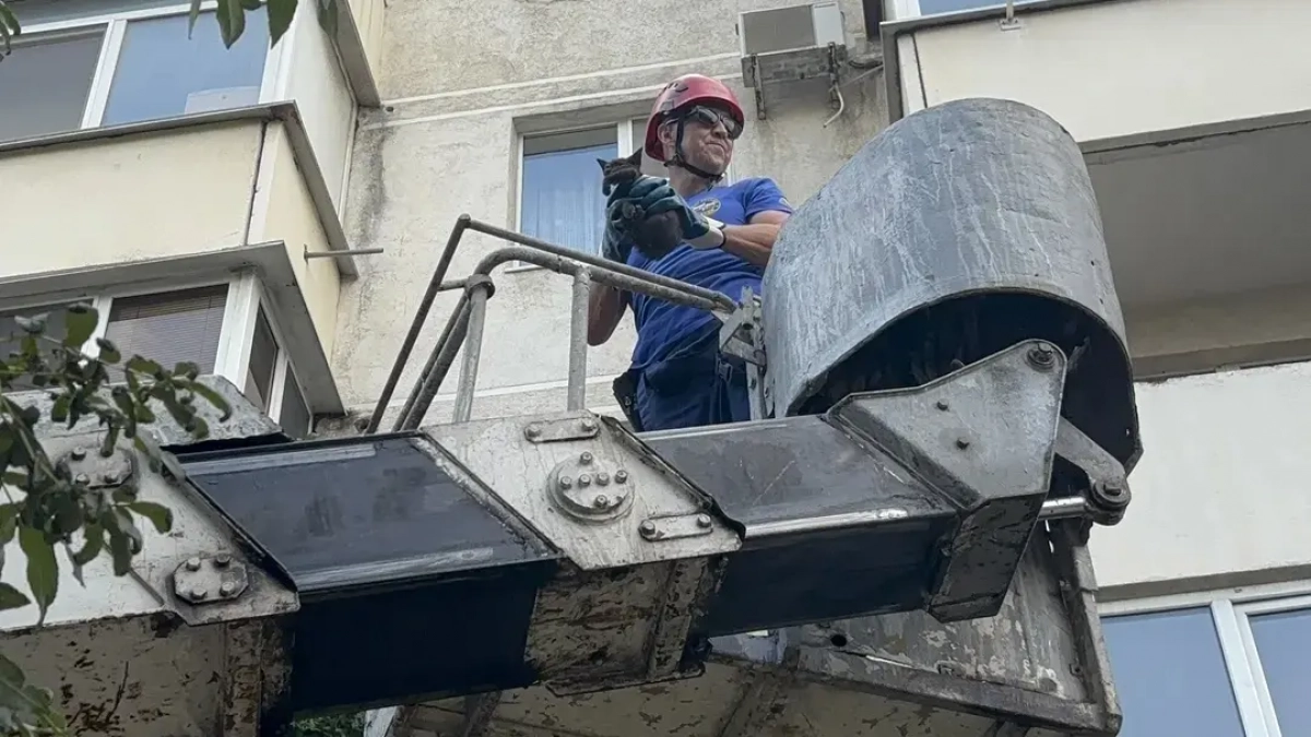 Спасатели и добрый водитель автовышки сняли котёнка с карниза третьего этажа в Новороссийске