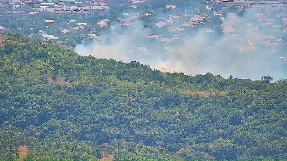 Бригады выдвинулись пешком: в лесу под Новороссийском горит сухая трава 