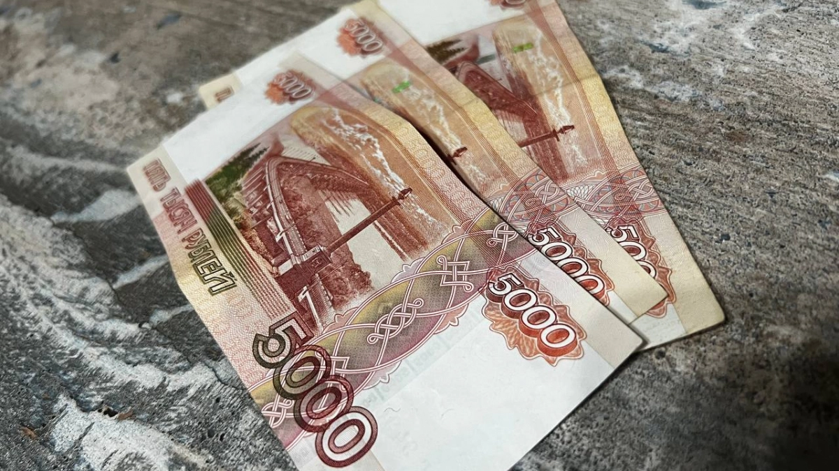 Стало известно, кому в Новороссийске готовы платить до 300 тысяч рублей