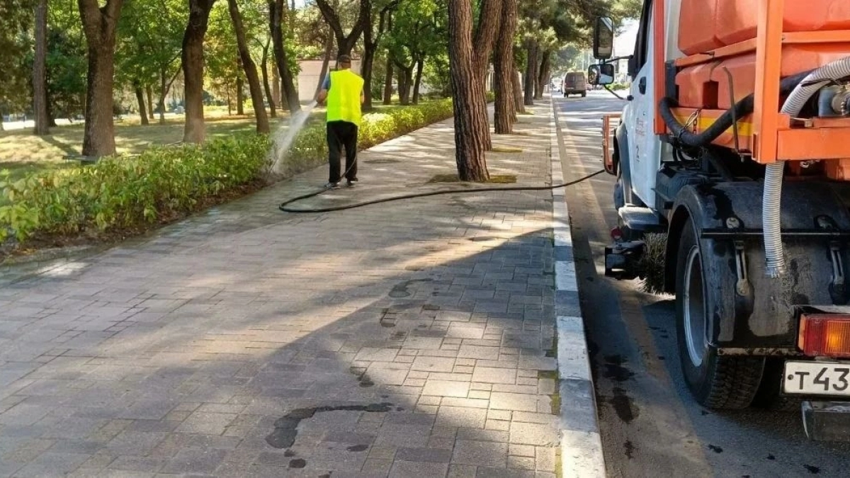 Власти Новороссийска «уступили» природе и горожанам: теперь поливать растения в паковой аллее будут раз в неделю 