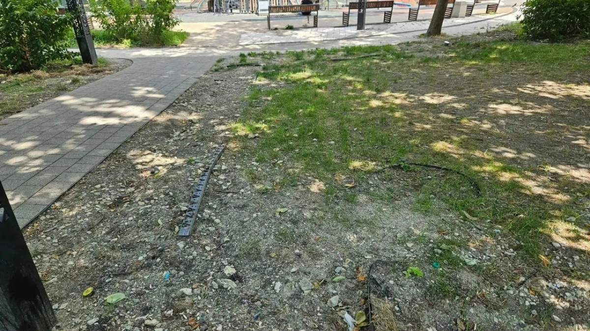 «Нужна реанимация!»: новороссийцы бьют тревогу: парк Фрунзе находится в крайне запущенном состоянии  