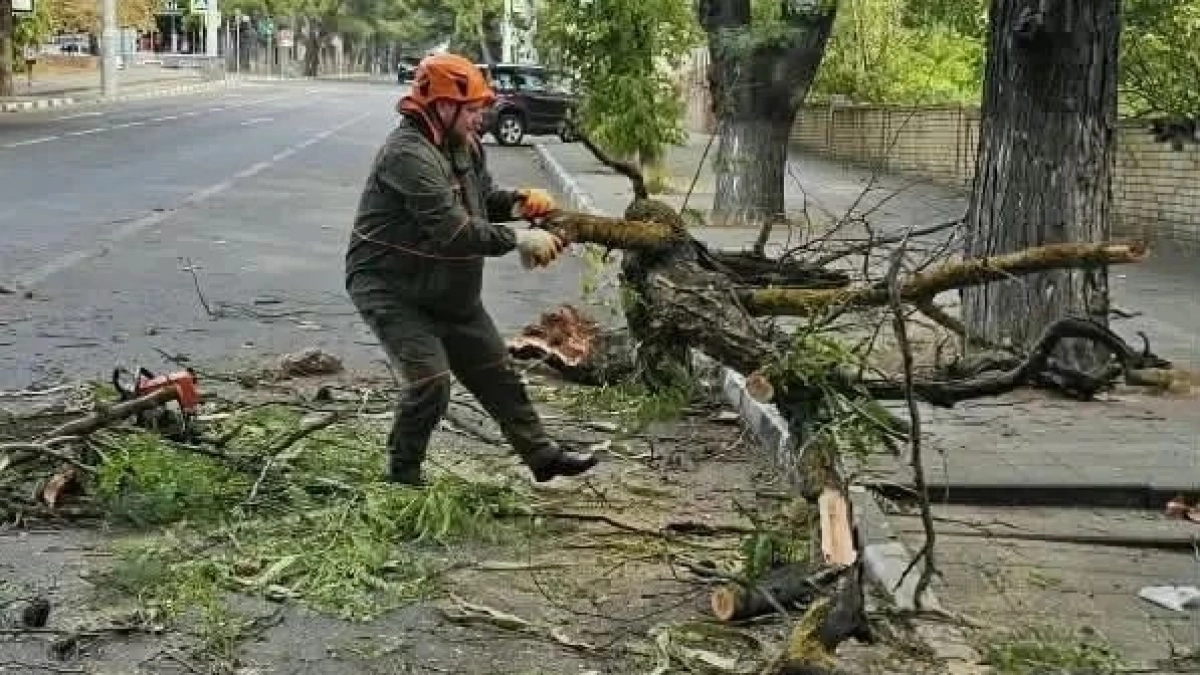 Ветер крушил пляжи, обрывал провода и ломал деревья: новороссийцев приглашают на субботник, чтобы привести город в порядок