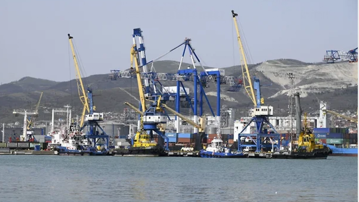 Госпакет Новороссийского морского порта выставят на продажу: Минфин рассчитывает найти инвестора до конца года