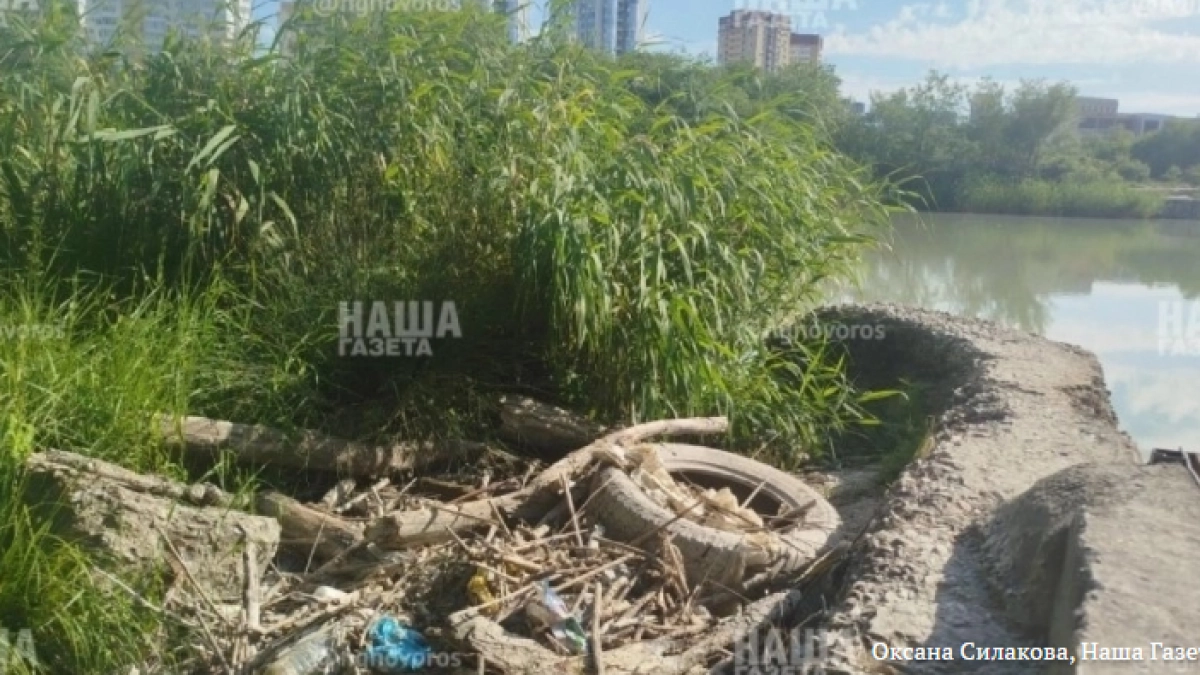 Не прошло и года: на Южных прудах в Новороссийске начали вывозить грунт 