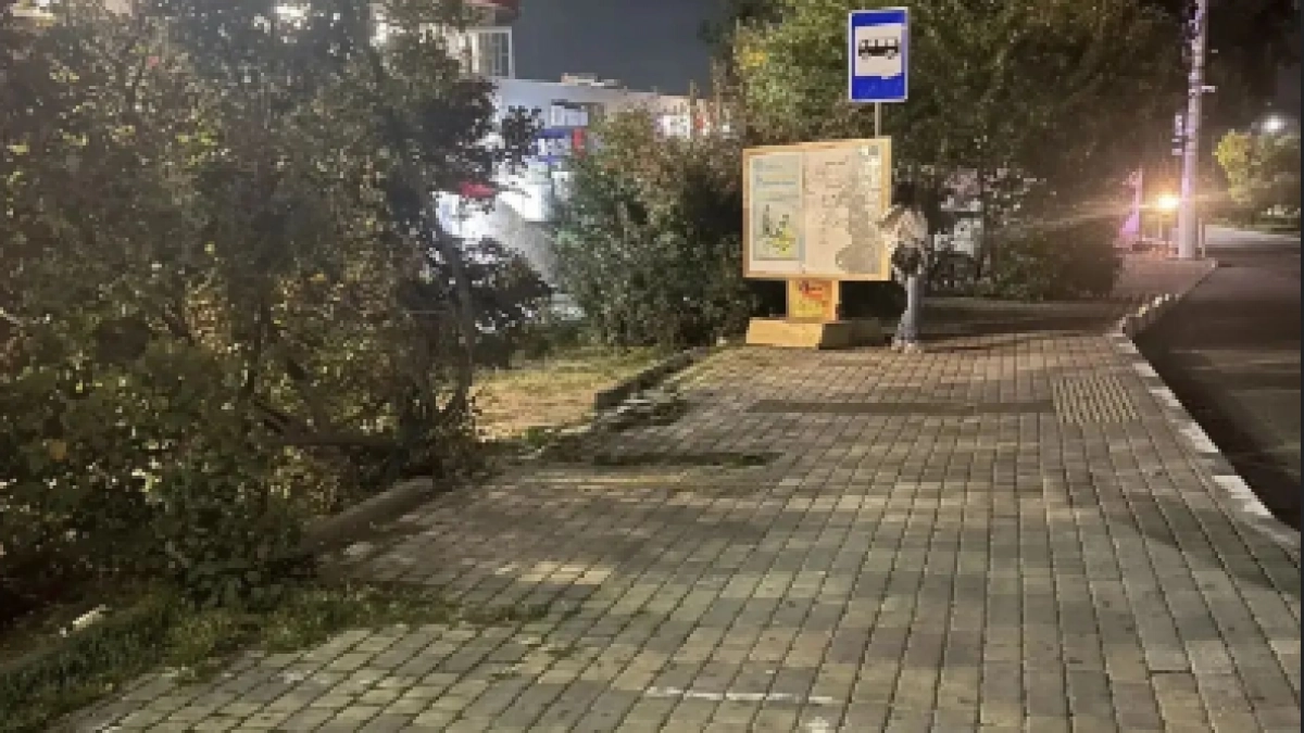 На остановках Новороссийска старые павильоны убрали, а новые не поставили: пассажиры остались без укрытия от дождя и ветра