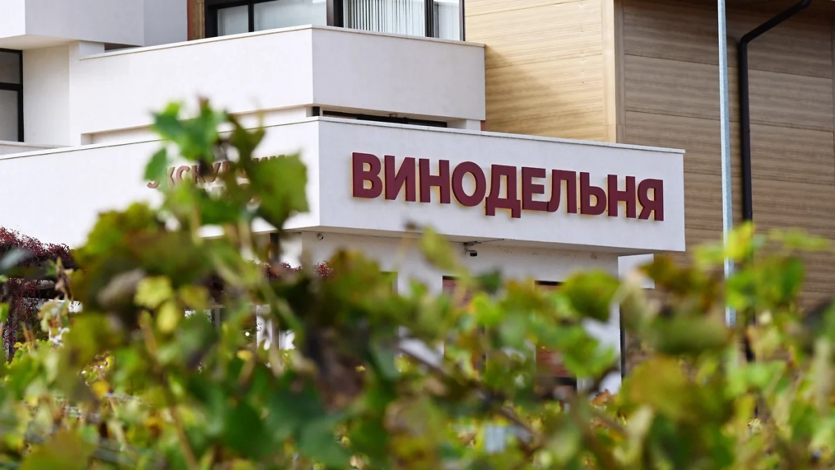«Восемь номеров — это не энотуризм»: эксперт рассказал, чего не хватает винному туризму в Новороссийске